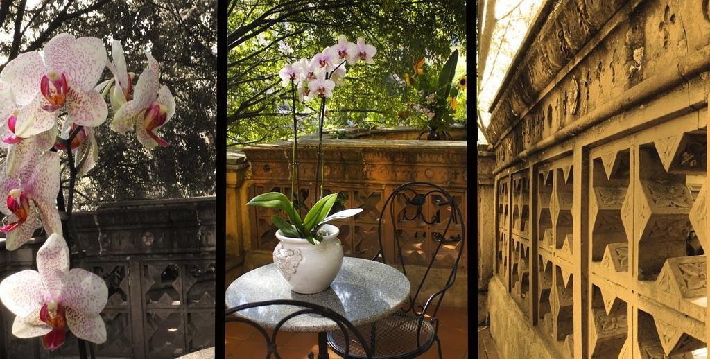 Hotel Villa delle Rose photo 3