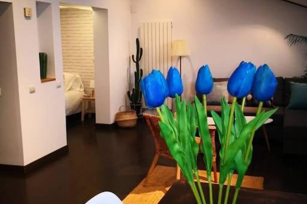 Charming Apartment in Madrid 57 m² + Internet photo 7