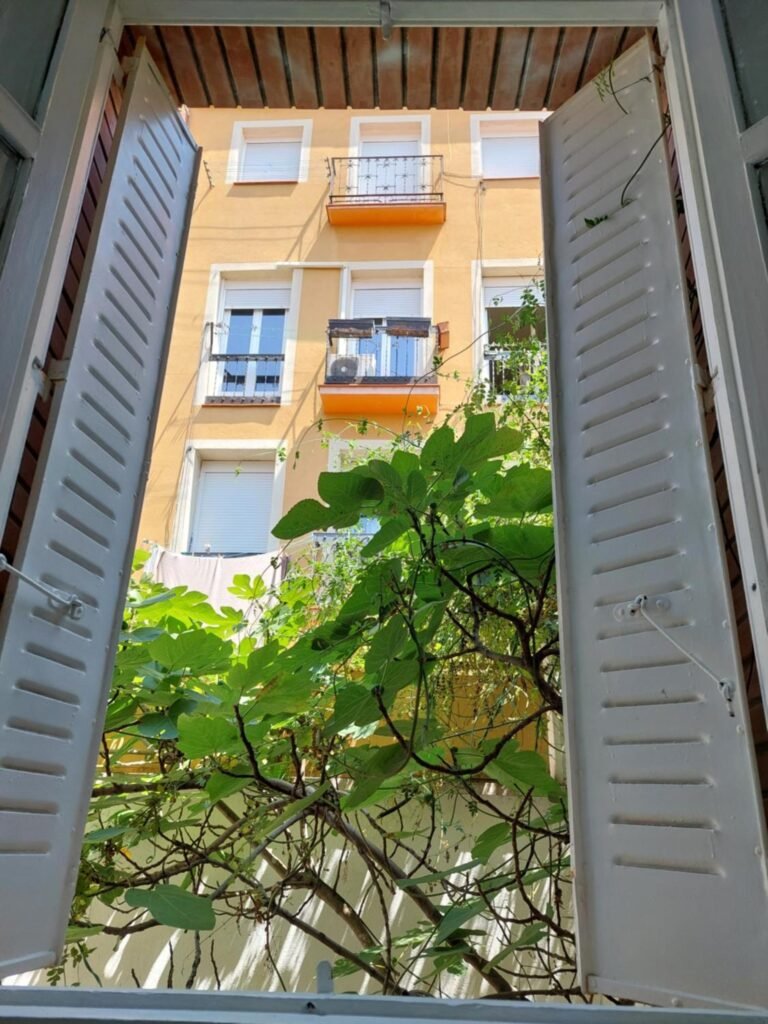 N1 Casa de Madrid – greenpeace line – Double Room with Shared Bathroom photo 1